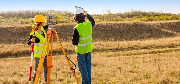 land surveyor