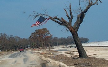 the American flag hanging from a tree